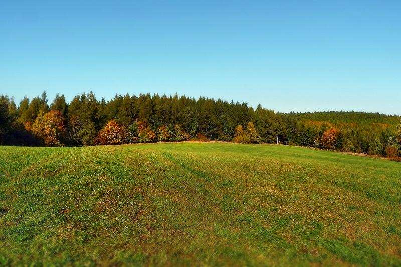 Olešnice na Moravě